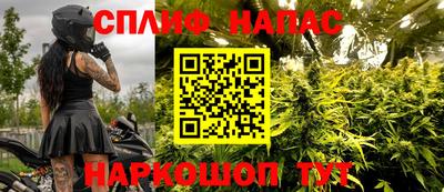 хмурый Гай