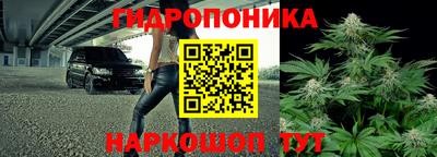 хмурый Гай