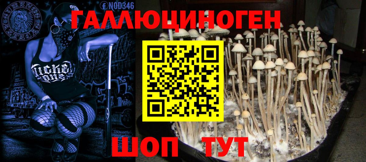 Псилоцибиновые грибы ЛСД  Псилоцибиновые грибы Psilocybe  Вход с VPN  Югорск 